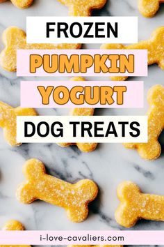 frozen pumpkin yogurt dog treats on a marble counter top with text overlay