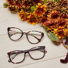 Glasses Inspo, Tortoiseshell Glasses, Glasses Fashion Women, Eyewear Trends, Shell Pattern, Freshly Picked