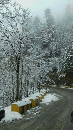 the road is covered in snow and has yellow barriers along both sides with trees on either side