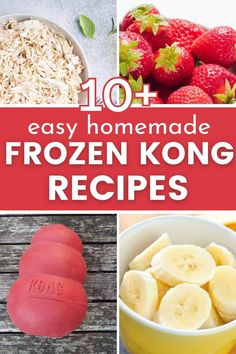 the top 10 homemade frozen kong recipes for kids to make and eat in their own kitchen