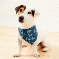 a dog sitting on the floor wearing a blue bandana with words written across it