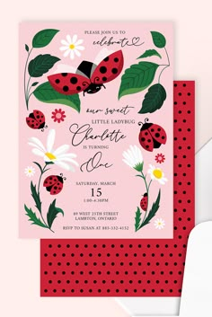 a ladybug birthday party card with polka dots and daisies on the bottom