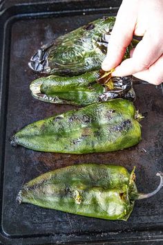 Grilled Cheese Stuffed Poblano Peppers Recipe - A recipe for grilled stuffed peppers with poblano peppers that are filled with cheddar and mozzarella cheeses, then grilled until nice and melty. So delicious! Pablano Pepper, Roast Chili