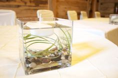 a square vase filled with rocks and plants on top of a white table cloth covered table