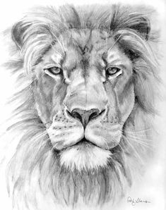 a drawing of a lion with blue eyes