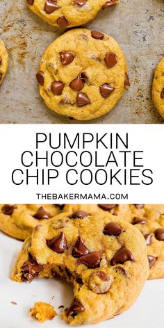 pumpkin chocolate chip cookies on a baking sheet and in the background there is a bite taken out of one