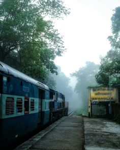 two trains parked next to each other on the tracks in the foggy forest area