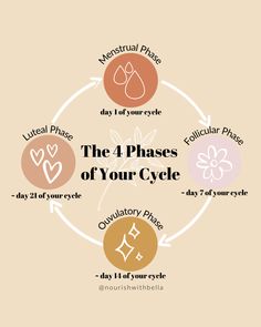 Cycle Syncing Timeline, Discharge Female Chart, Cycle Health, Cycle Chart, 12 Minute Workout, Moon Cycle