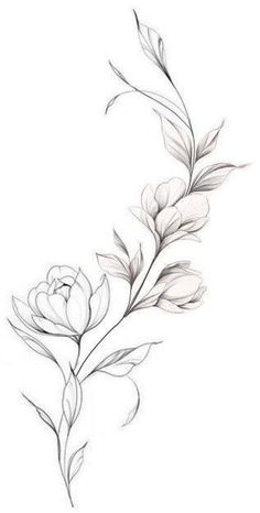 a black and white drawing of flowers