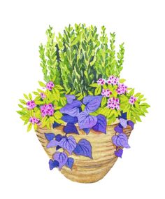 a watercolor painting of purple flowers in a basket with green leaves on the side