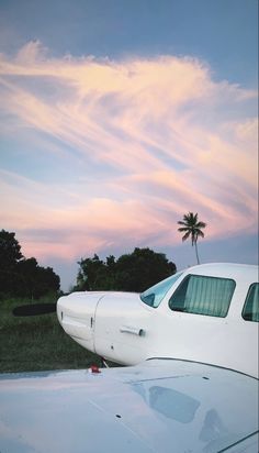 the tail end of an airplane with a palm tree in the background at sunset or dawn