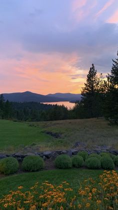 the sun is setting over a grassy field with flowers and trees in the foreground