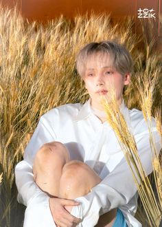 a person sitting in front of some tall grass