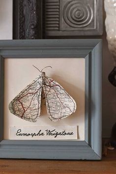 a framed photo with a paper cut out of a moth on it's side