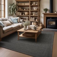 a living room with a couch, coffee table and bookshelf next to a fire place