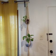 there is a plant hanging on the wall in front of the door and behind it are two potted plants