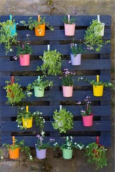 a wooden pallet filled with potted plants on top of each other and hanging from the side