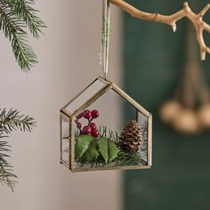 a glass ornament hanging from a tree branch with pine cones and berries in it