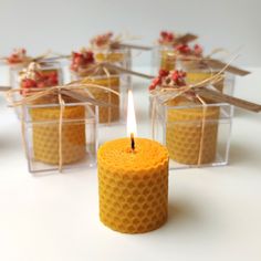 small beeswax candles are placed in clear boxes