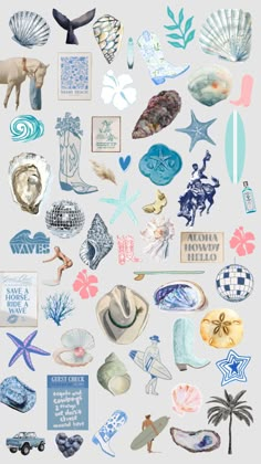 an assortment of sea shells and seashells on a white background with blue accents