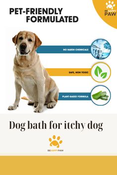 Dog bath for itchy dog Natural Dog Shampoo, Itchy Dog, Dog Bath, Natural Shampoo