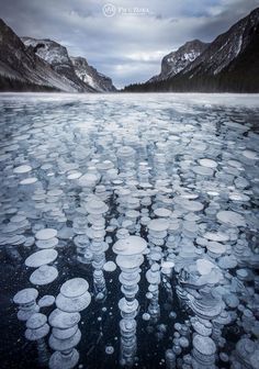 ice flakes floating in the water near mountains