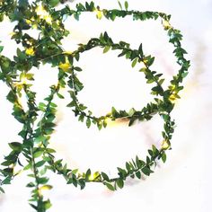 some green leaves and yellow flowers on a white table top with the word love spelled in it