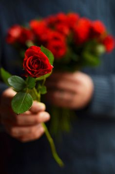 a person holding roses with the words good morning beautiful