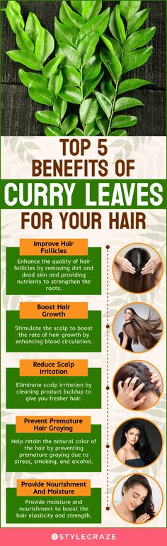 Using curry leaves for hair growth is an excellent ideaClick here to learn to prepare curry leaves hair packs to strengthen your hair and improve its color. Curry Leaves For Hair Growth, Yogurt For Hair, Hair Growth Remedies, Diy Hair Conditioner, Hair Packs, Grey Hair Remedies, Diy Hair Oil, Scalp Cleanse