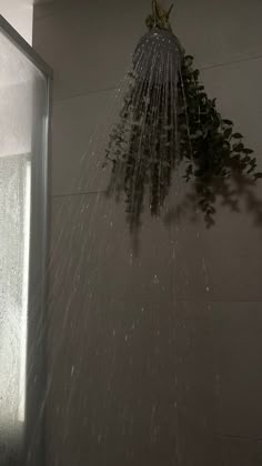 a shower head with water coming from it and plants growing on the wall above it