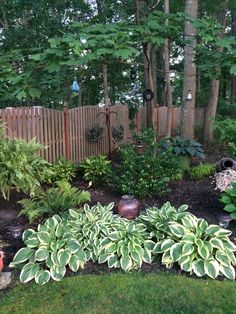 a garden filled with lots of different types of plants and flowers next to a wooden fence