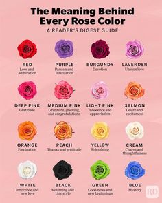 the meaning behind every rose's color is shown in this graphic style, with different colors