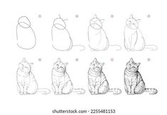 the stages of drawing cats sitting in different positions