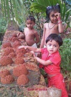 three children standing next to each other in front of some plants and dirt on the ground