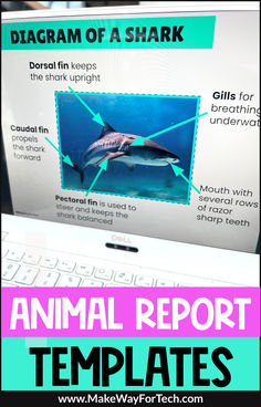 an animal report is displayed on a computer screen with the text diagram of a shark