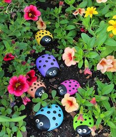 colorful painted ladybugs in the garden surrounded by flowers