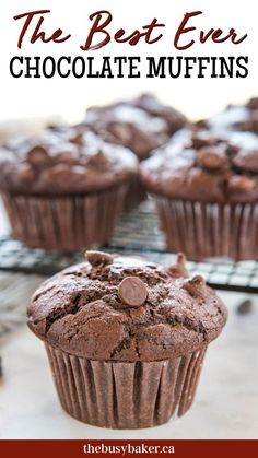 the best ever chocolate muffins on a cooling rack with text overlay that reads, the best ever chocolate muffins