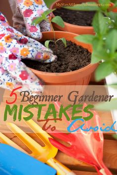 three flower pots with gardening utensils in them and the words, 5 beginner gardener mistakes to avoid