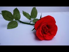 a single red rose sitting on top of a white table next to green leafy stems