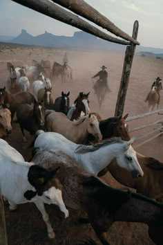 a herd of horses running across a dirt field