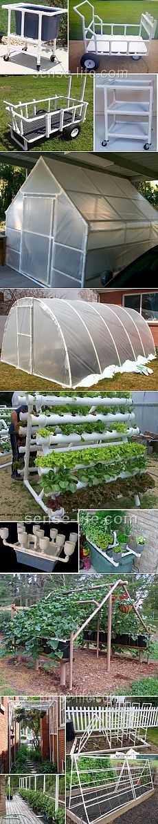 several pictures of different types of greenhouses