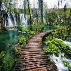 a wooden walkway leading to a waterfall in the woods with water running down it's sides