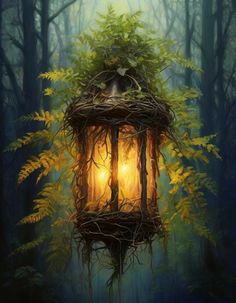 a bird's nest in the middle of a forest with a light on it