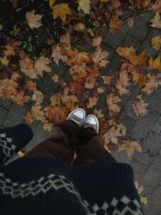 the person is standing in front of leaves on the ground with their feet up and one hand holding an umbrella