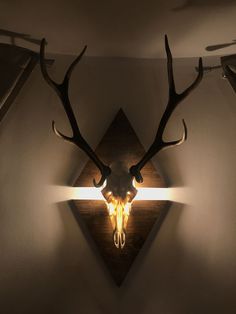 a deer's head mounted to the side of a wall with lights on it