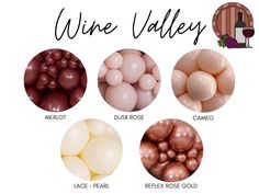 the different types of wine balloons are shown in this graphic above it's description