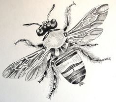 a black and white drawing of a bee