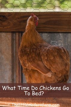 a brown chicken standing on top of a wooden frame