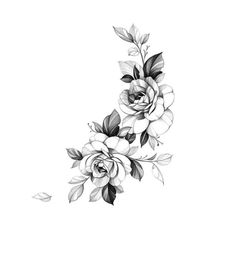 a black and white drawing of flowers on a white background, with leaves coming out of the petals