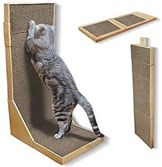 a cat climbing up the side of a scratching board